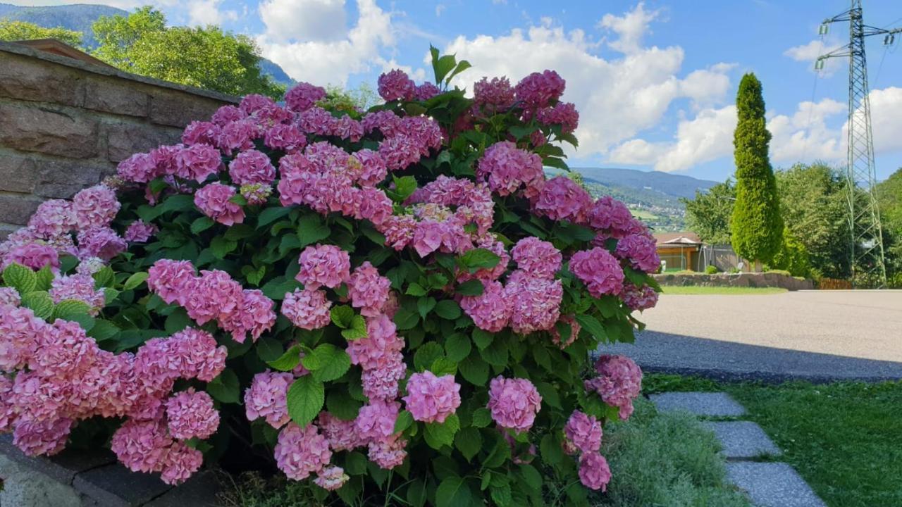 Ferienwohnungen Koflerhof Castelrotto Exterior foto